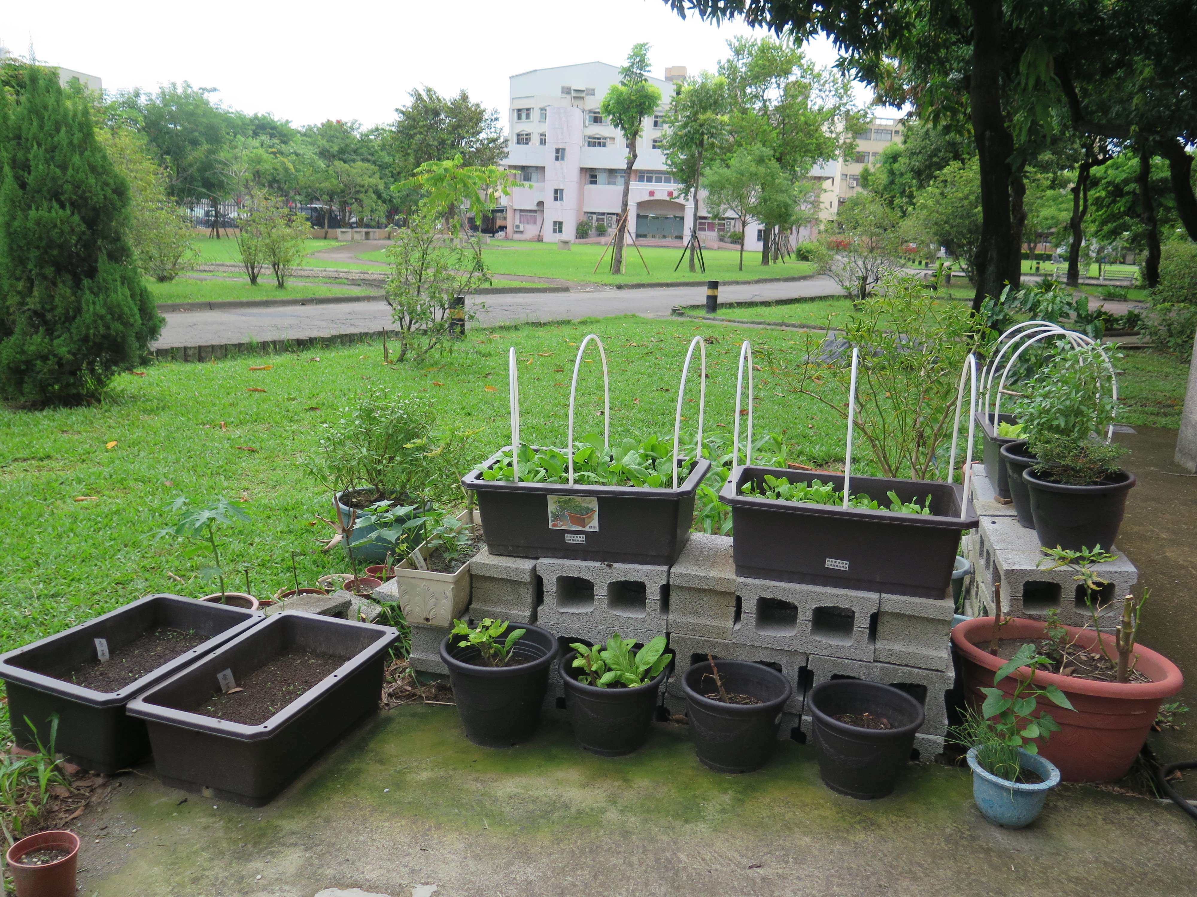 戶外庭園