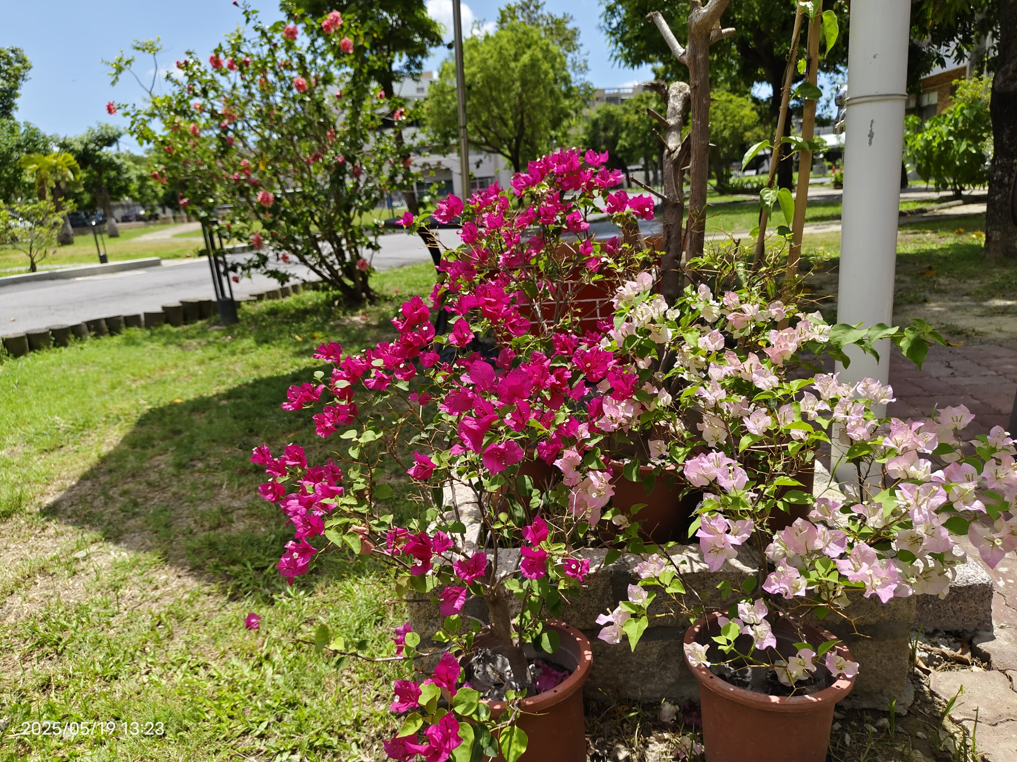 戶外庭園
