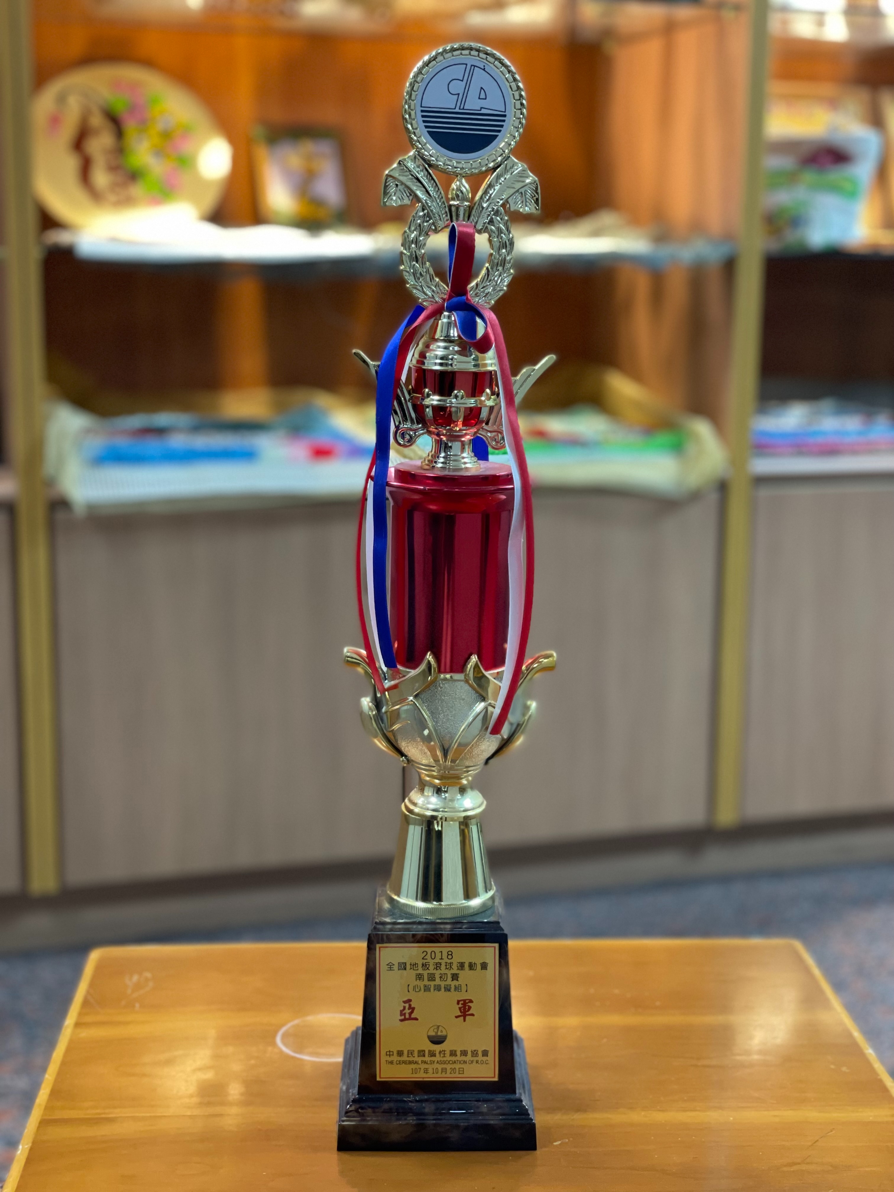2018全國地板滾球運動-南區初賽