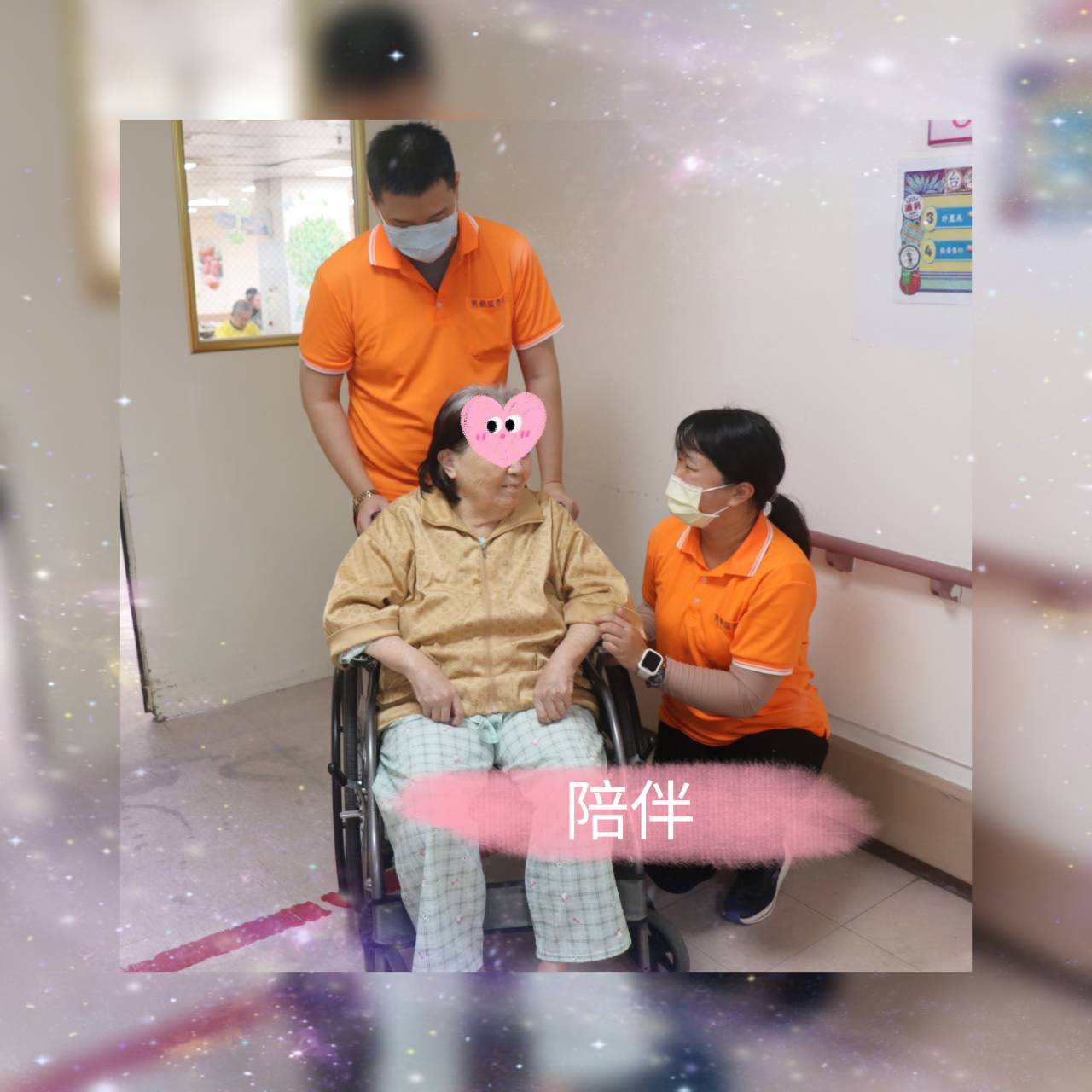 照服