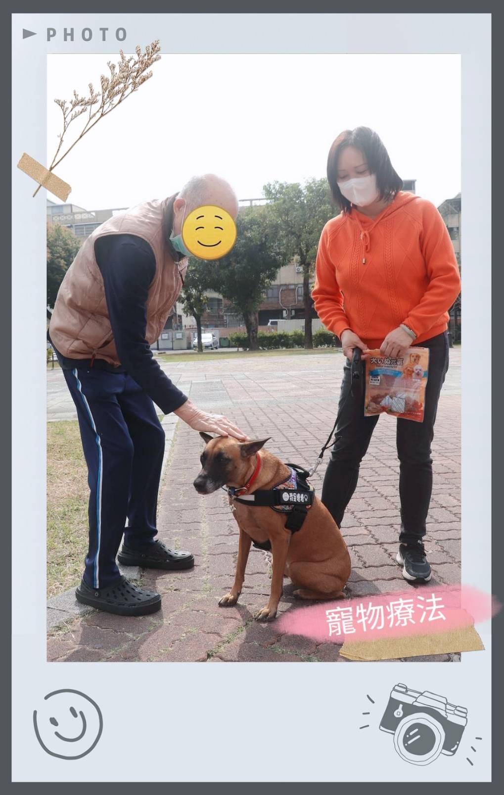 寵物療法